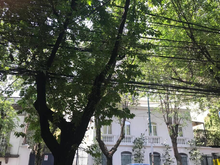 Excellent Location Renovated Apt. Roma/Condesa 1 Cidade do México Exterior foto